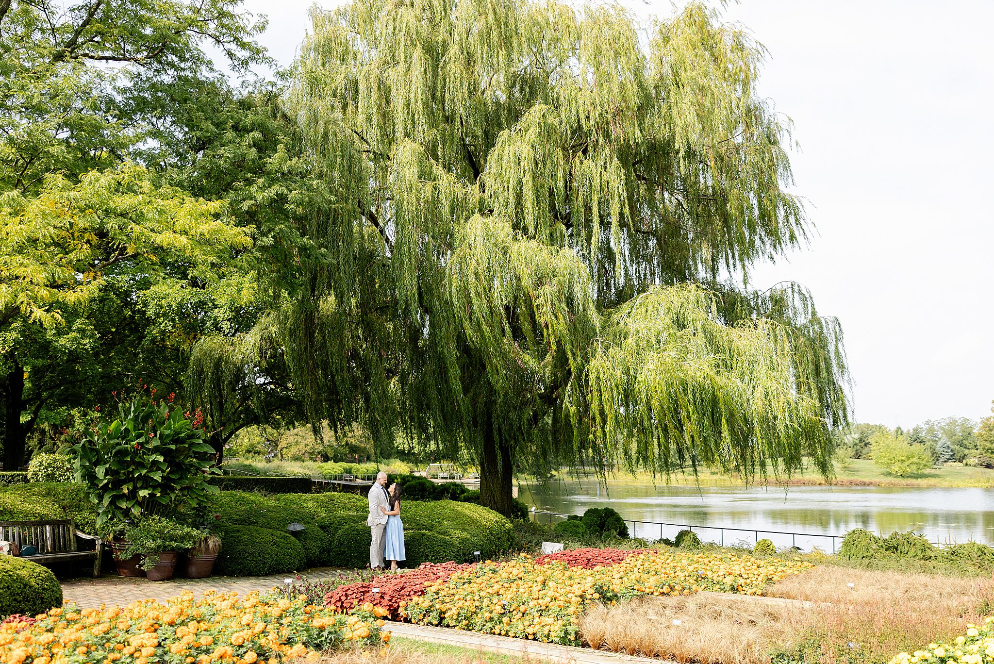 Chicago Botanic Garden proposal photos and proposal photo ideas with Chicagoland wedding photographer Jillian Photography.